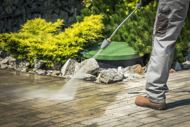 Best Restaurant Pressure Washing  in Wrightwood, CA