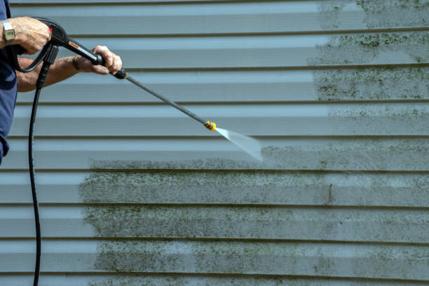 Best Sidewalk and Walkway Cleaning  in Wrightwood, CA